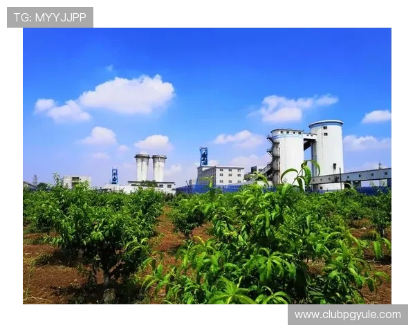 PG娱乐网址娱乐平台官网积极响应行业规范,推动绿色健康娱乐生态建设